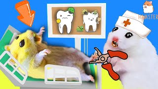 In Hamster Stories, Doctor Hamster saves giant teeth maze traps.