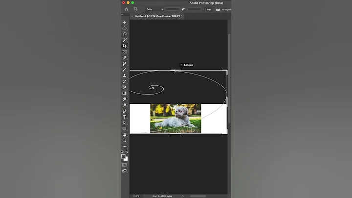 Expand Images with Generative Fill in Photoshop (beta) #shorts #photoshop - 天天要闻