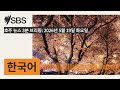 호주 뉴스 3분 브리핑: 2026년 5월 19일 화요일 | SBS Korean - SBS 한국어 프로그램