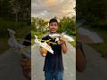 Rc Brid Vs Remote Control Helicopter 2 