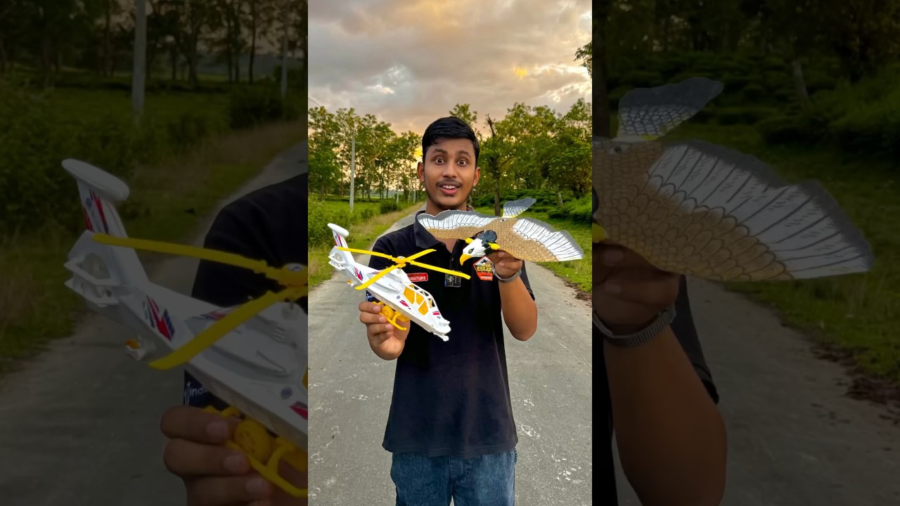 Rc brid vs remote control helicopter 2