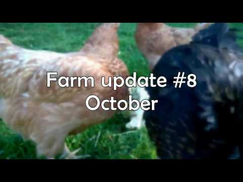 Farm update #8 October - YouTube