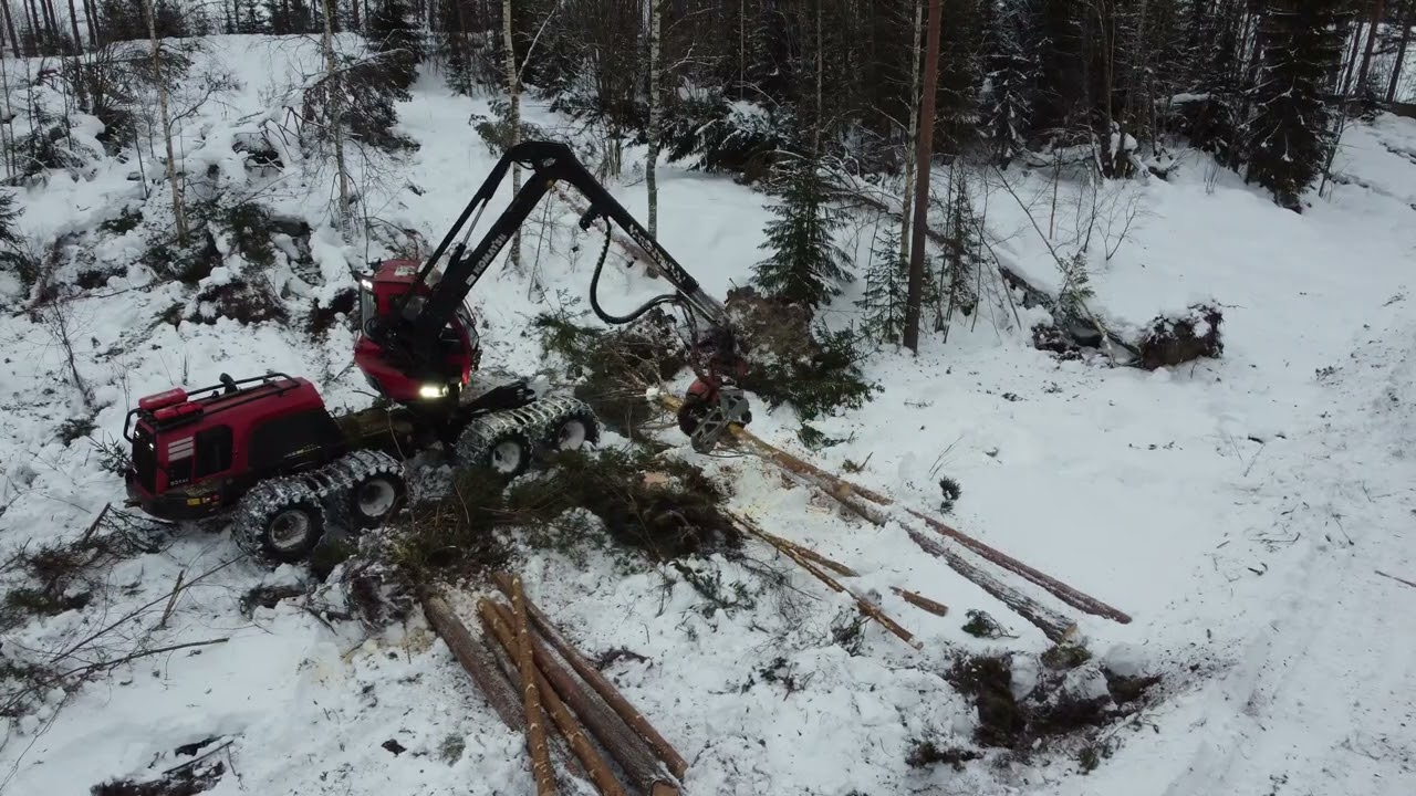Stormen Johannes och Anna. Avverkning