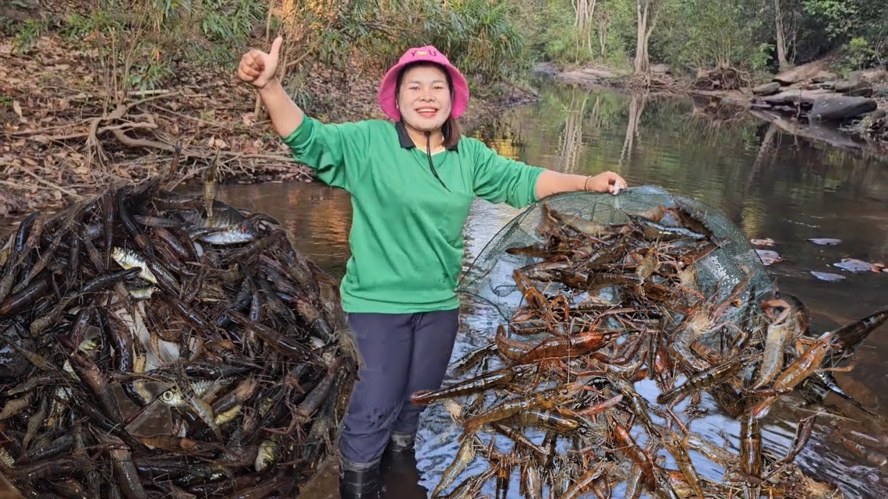 หมานคือเก่าจ้า! กุ้งก้ามแดงสดๆดิ้นโด่งๆตัวใหญ่ๆงามๆจ้า​ ใส่ตุ้มกุ้งวังแก่งหิน​ 11ก.พ.69