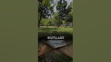 ما تيسر من سورة الصافات #القرآن_الكريم #القرآن #foryou #الله #اكسبلور #reels #follow #لايك #دويتو