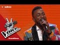Yannick Prince De Southfork Fally Ipupa The Voice Afrique Francophone 2016 mp3