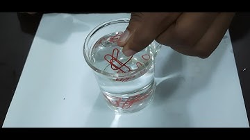 Wonder of Surface Tension (Paper clip floating on water)