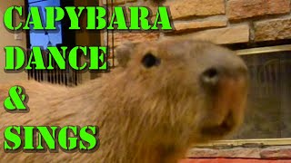 Capybara Dance & Sings