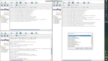 neapay ISO8583 converter to JSON XML SQL to Http Host - start& run - Part.1