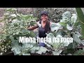 MINHA HORTA PRODUTIVA NA ROÇA/ DIA DE COLHEITA #farturanaroça