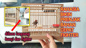 CARA BIKIN PRENJAK BAHAN CEPAT NARUNG DAN FIGHTER❗rahasia penghobby prenjak