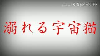 【東方PV】溺れる宇宙猫