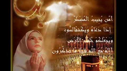 تلاوة مباركة للقارئ الشيخ ابو حاتم المنذري