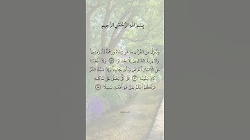 سورة الإسراء ( ٨٢ - ٨٤ ) القارىء: مشاري راشد