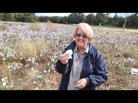 Georgia Roadside Stops With My Mom - A Short Road Trip To Atlanta / Unusual Stores & Gas Stations