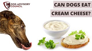 Can Dogs Eat Cream Cheese? Is It Bad or Safe for Dogs?