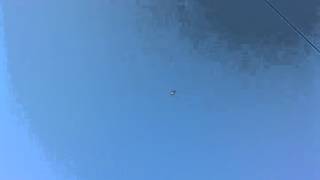 drone dick