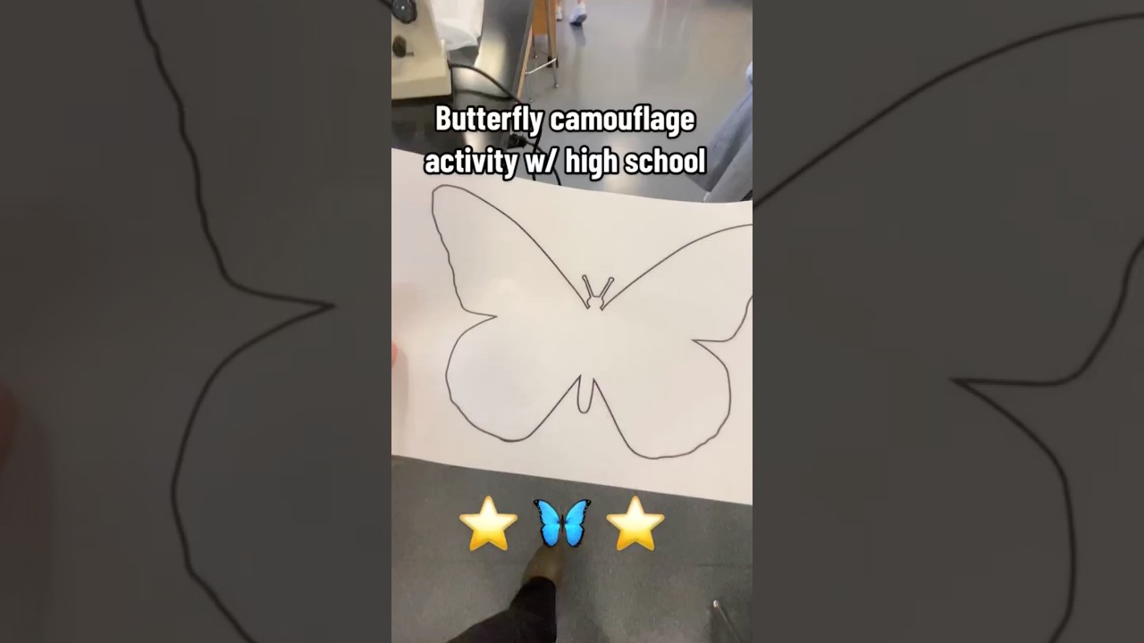 Engaging Butterfly Camouflage Activity for High School Students