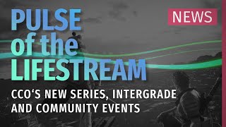 CCOs new series - Pulse of the Lifestream NEWS