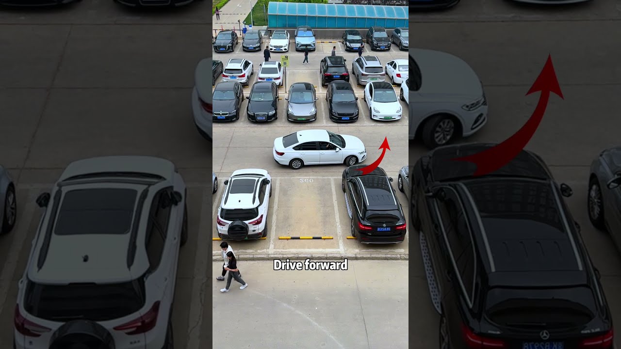 Parking Skills That 1 Billion People Don T Know Free Teaching Car