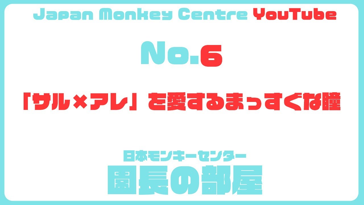 Director's Room 6: The Straight Eyes of a Monkey Lover - YouTube