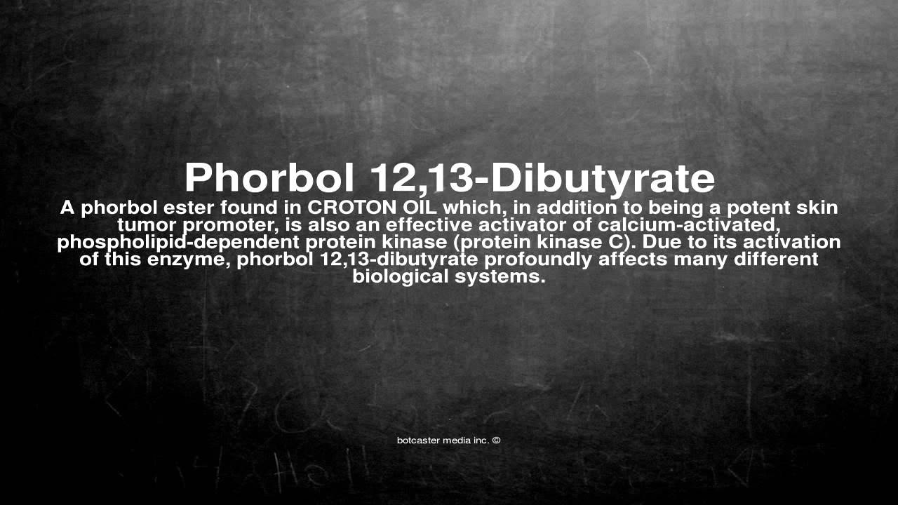 Medical vocabulary: What does Phorbol 12,13-Dibutyrate mean