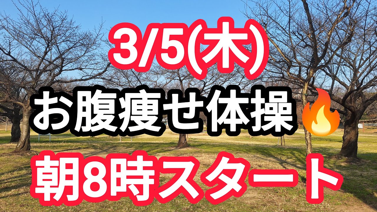 【初心者🔰大歓迎】朝からのお腹痩せ体操でキレイになりましょう🦥