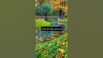 يَوْمَئِذٍ يَصْدُرُ النَّاسُ أَشْتَاتًا لِيُرَوْا أَعْمَالَهُمْ❤️#راحة_نفسية #اطمئنان #سورة_الزلزلة