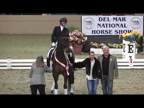 Awards for FEI Freestyle Test of Choice - Evening of Musical Freestyles 2019