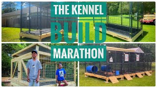 The Best Raised Outdoor Dog Kennels Setups | HustleLine’s Marathon