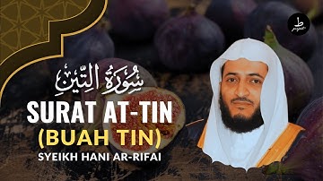 MURATTAL PALING MERDU Surat At-Tin (Buah Tin) | Hani Ar-Rifai |  هاني الرفاعي  |  سورة التين
