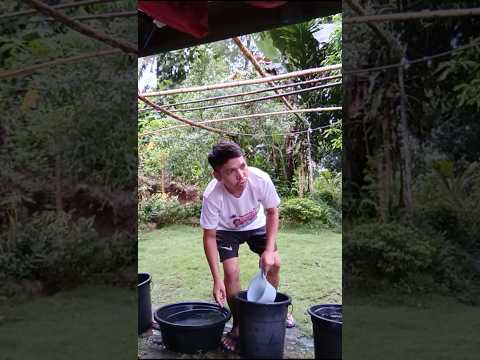 Help Her Comedy Funny