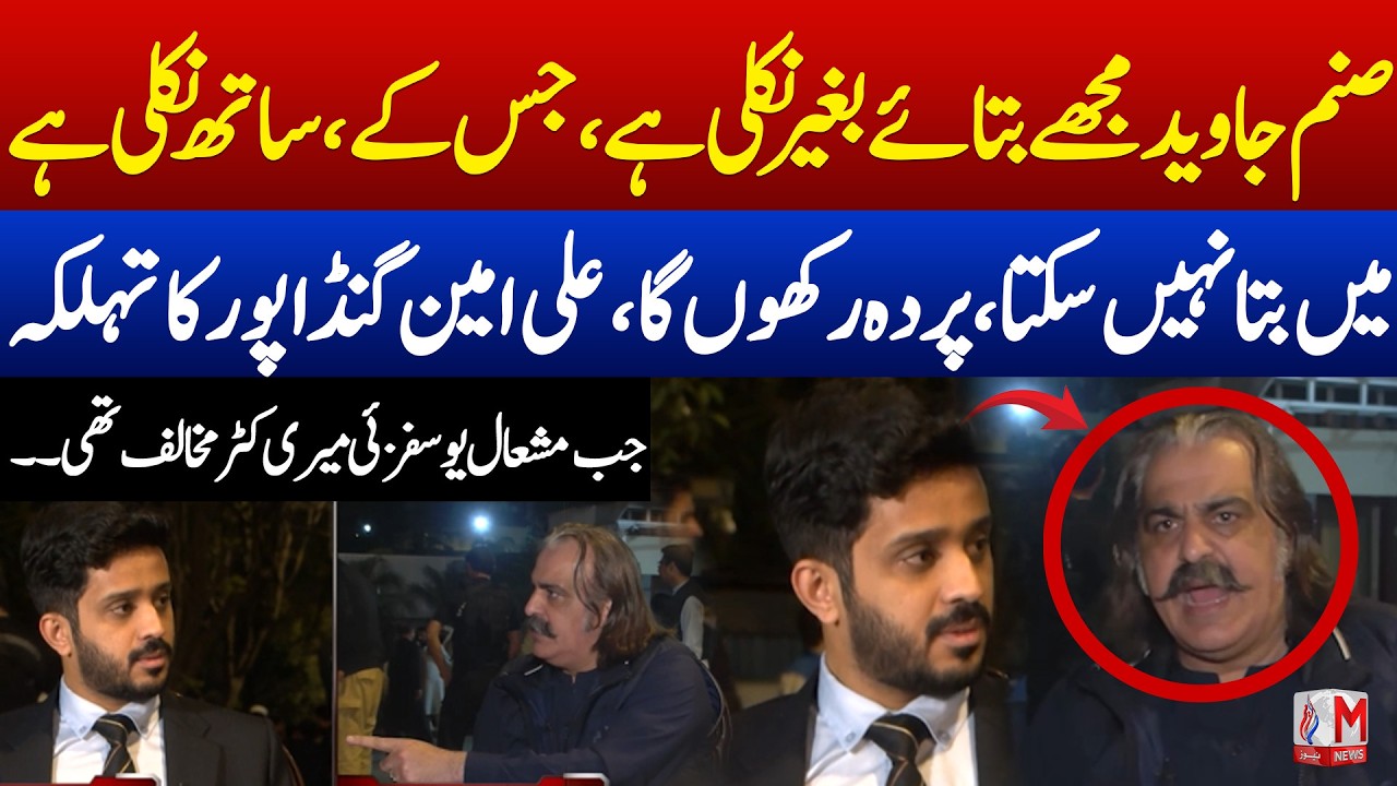 Big Revelation About Sanam Javed By Ali Gandapur | M News