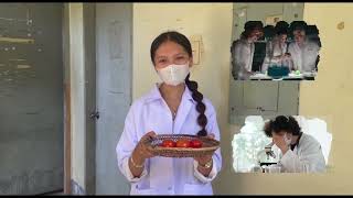 BSA 3C_GROUP-5_AGRI 47 Biotech Product: Flavr Savr tomato Informational video advertisement 
