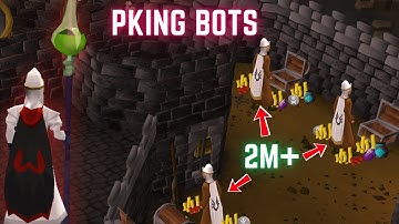 Pking Bots that Make MILLIONS of GP Per Hour