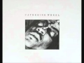 Catherine Wheel - Painful Thing