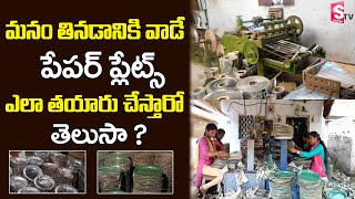 How To Make Paper Plates | Paper Plate Making | Paper Plate Making Machine | Suman Tv Vijayawada