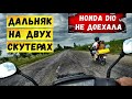 На скутерах в дальняк | Honda Dio умерла | Готовим на костре