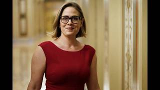 Details Kyrsten Sinema Sued by Bodyguard’s Ex Wife over Extramarital Affair Allegations Guide