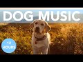 ASMR MUSIC FOR DOGS! Calm Your Anxious Dog in Minutes! NEW!