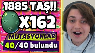 4000 TL HARCADIM!! BÜTÜN YUMURTA TEKLİFLERİNİ SATIN ALDIM!! Brawl Stars