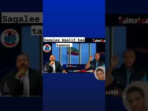 Nashiidaa Waa Ee Hidhamtoota Mana Hidhaa Saudi Arabia Keessatti Rakkachaa Jiranii