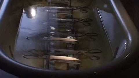 Sudarshan Shetty - Consanguinity