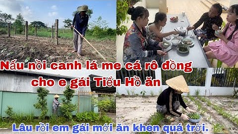 #46 Nấu nồi canh lá me cá rô đồng cho em gái Tiểu Hồ ăn, lâu rồi em gái mới ăn khen quá trời.