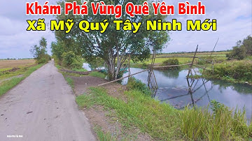 Khám Phá Vùng Quê Yên Bình Xã Mỹ Quý Tây Ninh Mới, Huyện Đức Huệ Long An Cũ