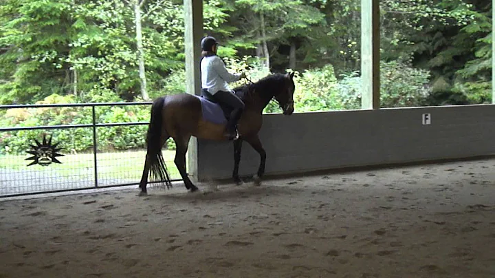 A lesson Smokey with Carol McArdle