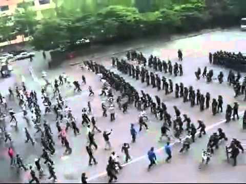 Korean Police Riot Control.flv