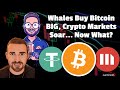 Crypto  Market Update Following One of the LARGEST Whale Accumulation Days in YEARS!