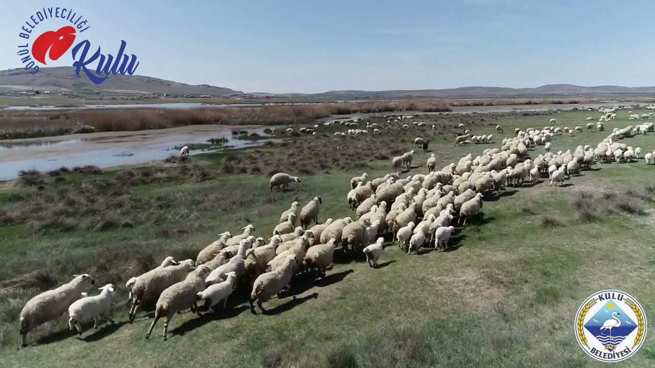 Kulu Kozanlı Gökgöl