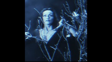 Infrasound X Plan 9 from Outer Space: Instant Cult Classic